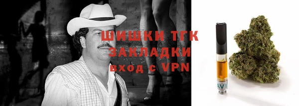 мдма Ельня